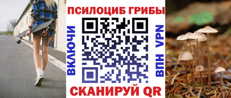 мориарти какой сайт  купить наркотики сайты  Истра  Галлюциногенные грибы Magic Shrooms 